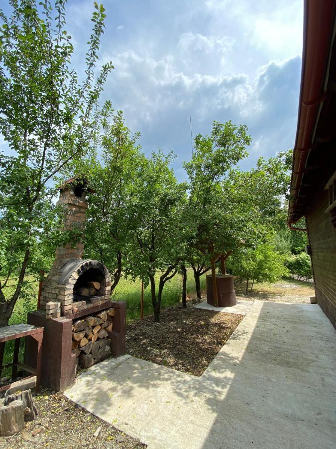 Ab'S Rustic Cabin Dejani 외부 사진